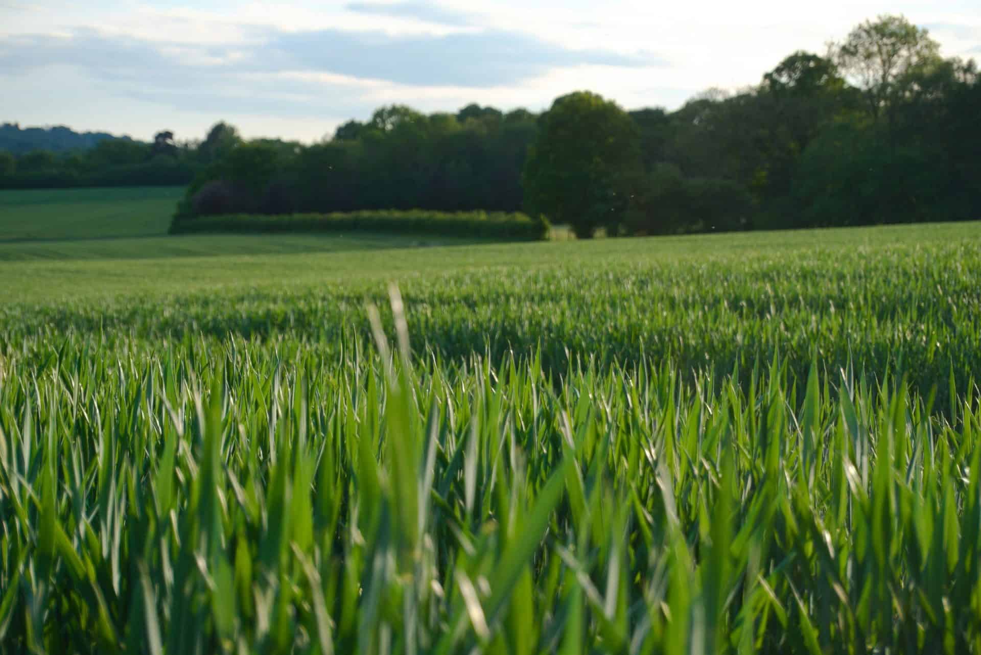 Agricultural Carbon Soil Testing