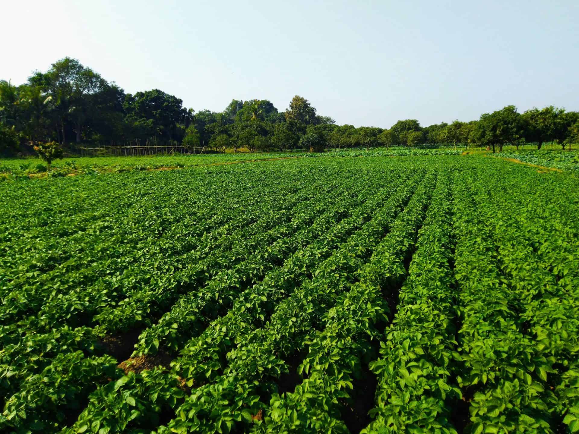 Soil Solutions Australia